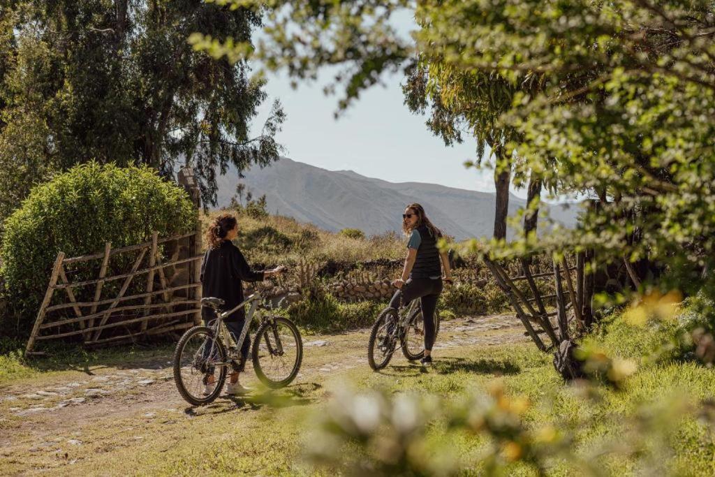 Lodge Colca Trek Experience