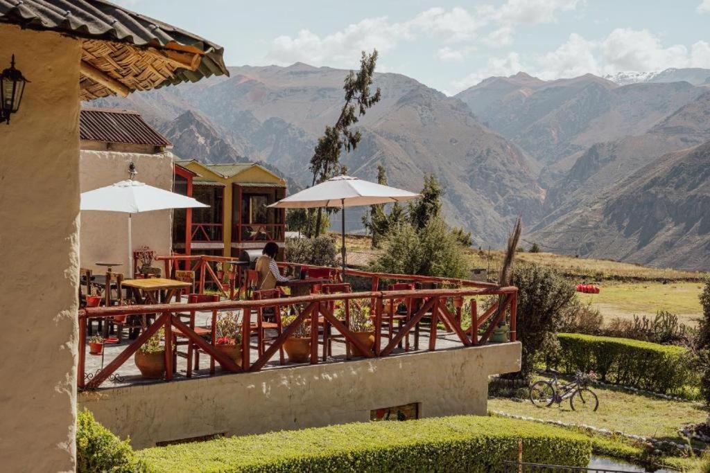 Colca Trek Experience Pinchollo