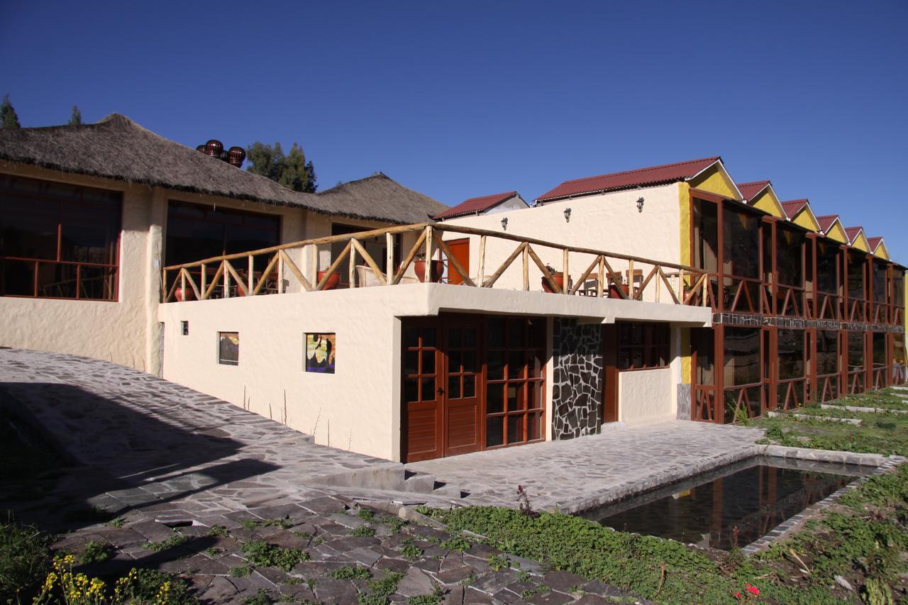 Colca Trek Experience Pinchollo